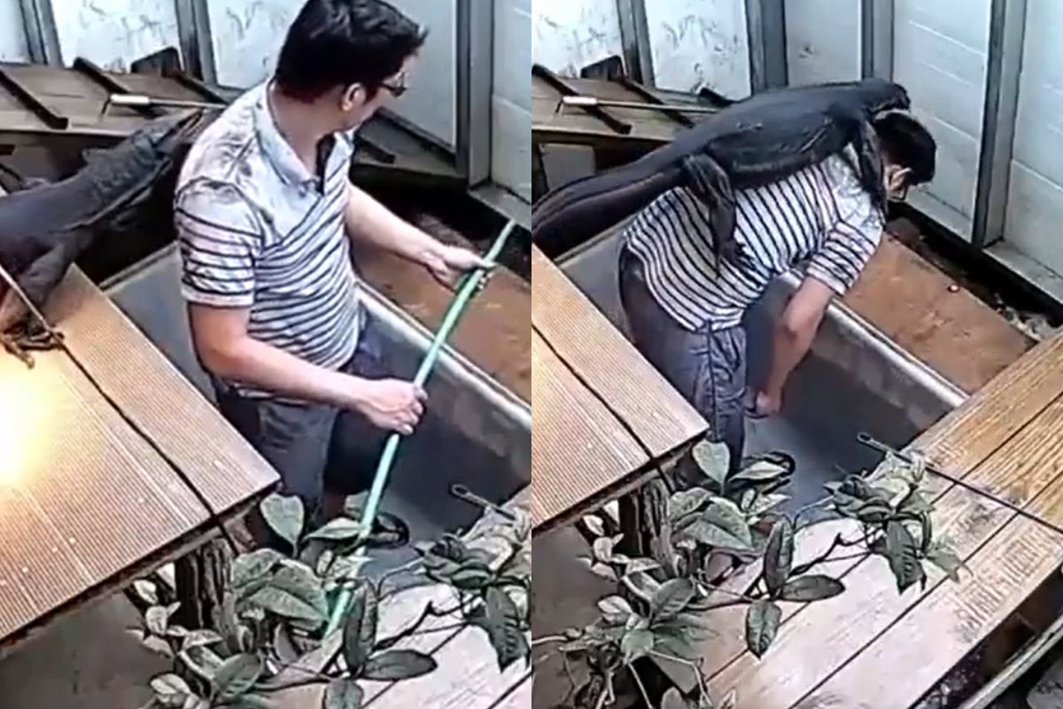 Viral Video