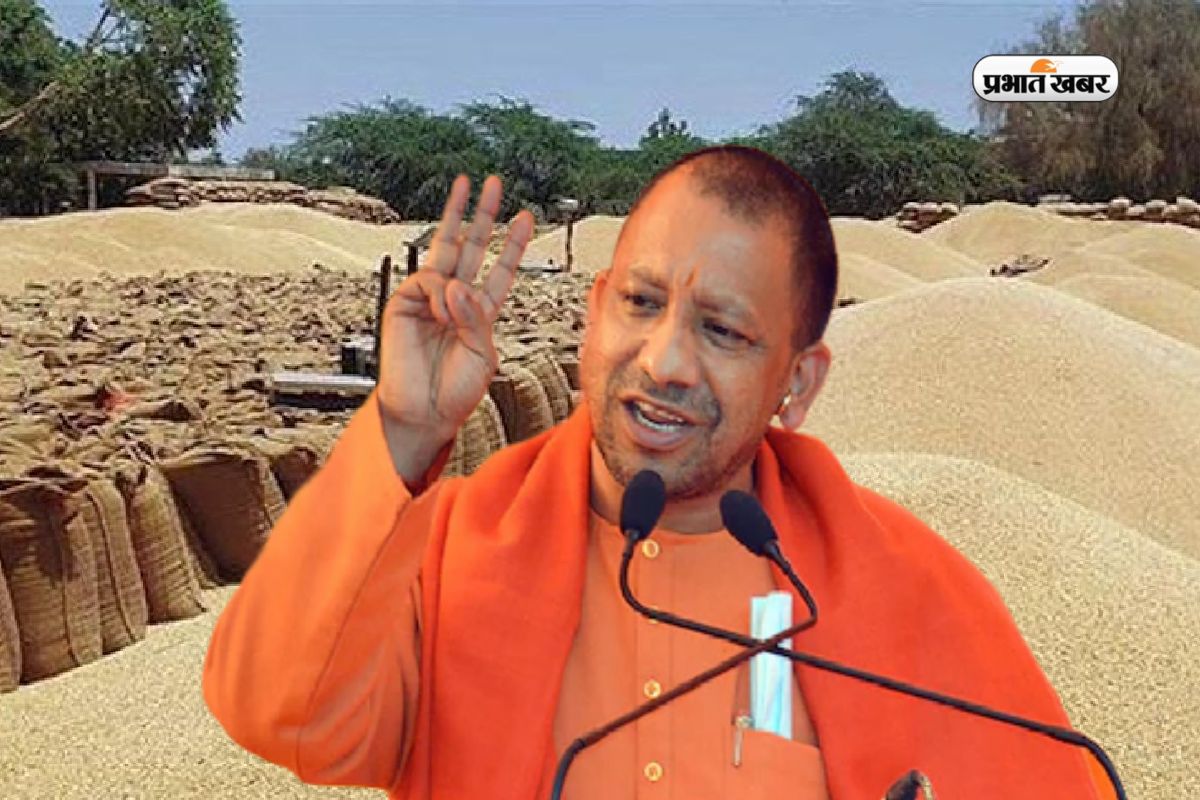 Yogi Government