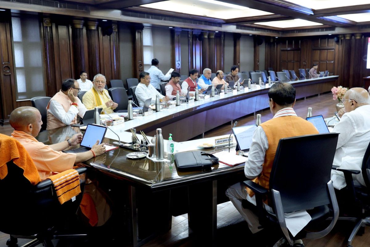 Yogi Cabinet