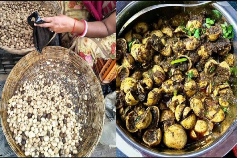 Rugda Benefits: मानसून का देसी मटन क्यों कहलाता है फुटका, सेहत से भी जुड़ी हैं खूबियां 