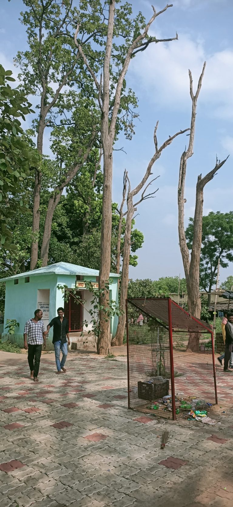 Bokaro News : खूंटा बाबा परिसर के सूखे पेड़ दे रहे दुर्घटना को आमंत्रण
