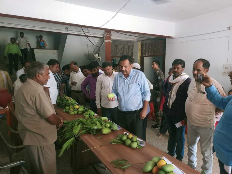 बागवानी मिशन में बेहतर आम उत्पादक किसान चिह्नित
