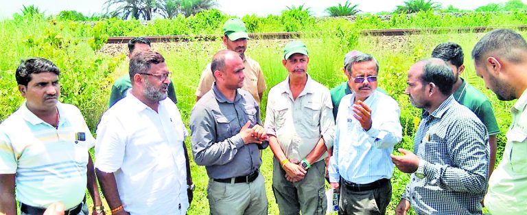Chaibasa News : हाथियों की जान बचाने के लिए चक्रधरपुर रेल मंडल में लगा आइडीएस सिस्टम
