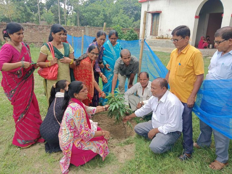 एक पेड़ मां के नाम अभियान के तहत पौधरोपण