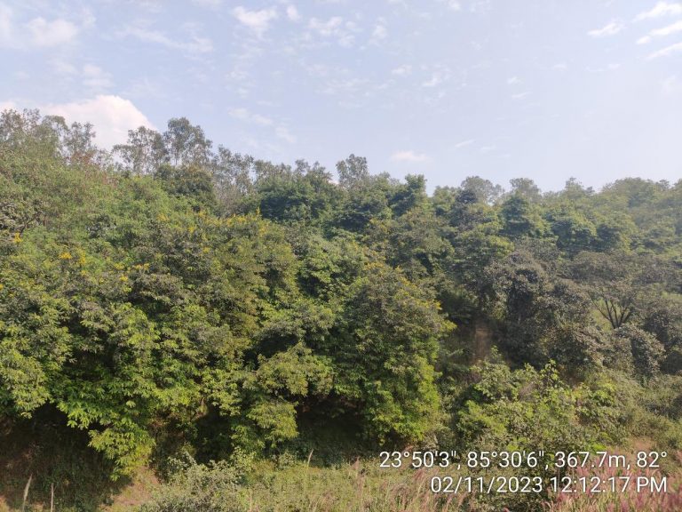 Ranchi news : अशोका के 78 और कोनार के 66% खनन क्षेत्र भरे गये