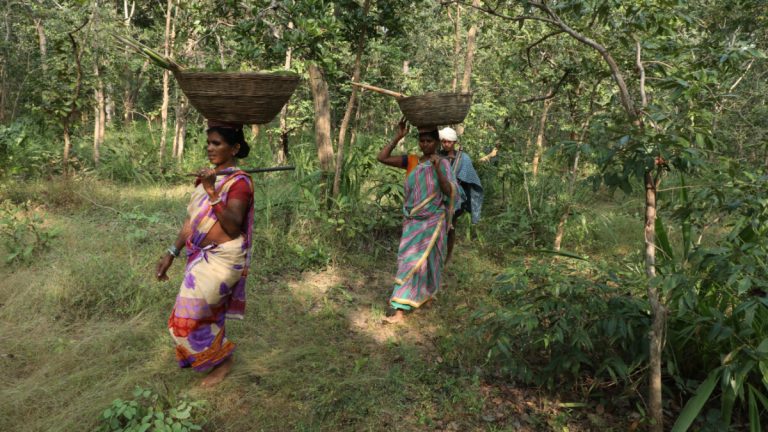 Ranchi news : वन अधिकार अधिनियम के मामलों को मंजूरी देने में झारखंड देश में चौथे नंबर पर