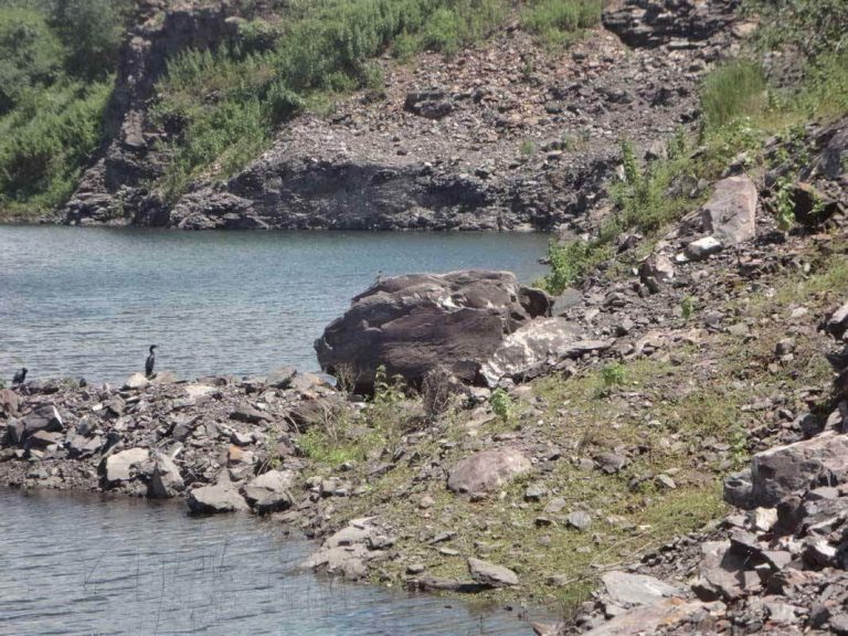 Bokaro News : बंद पिछरी माइंस को खोलने को लेकर बना टेरी रजिस्टर