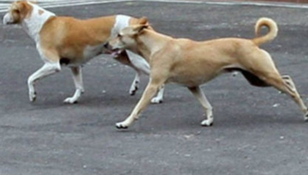 an image