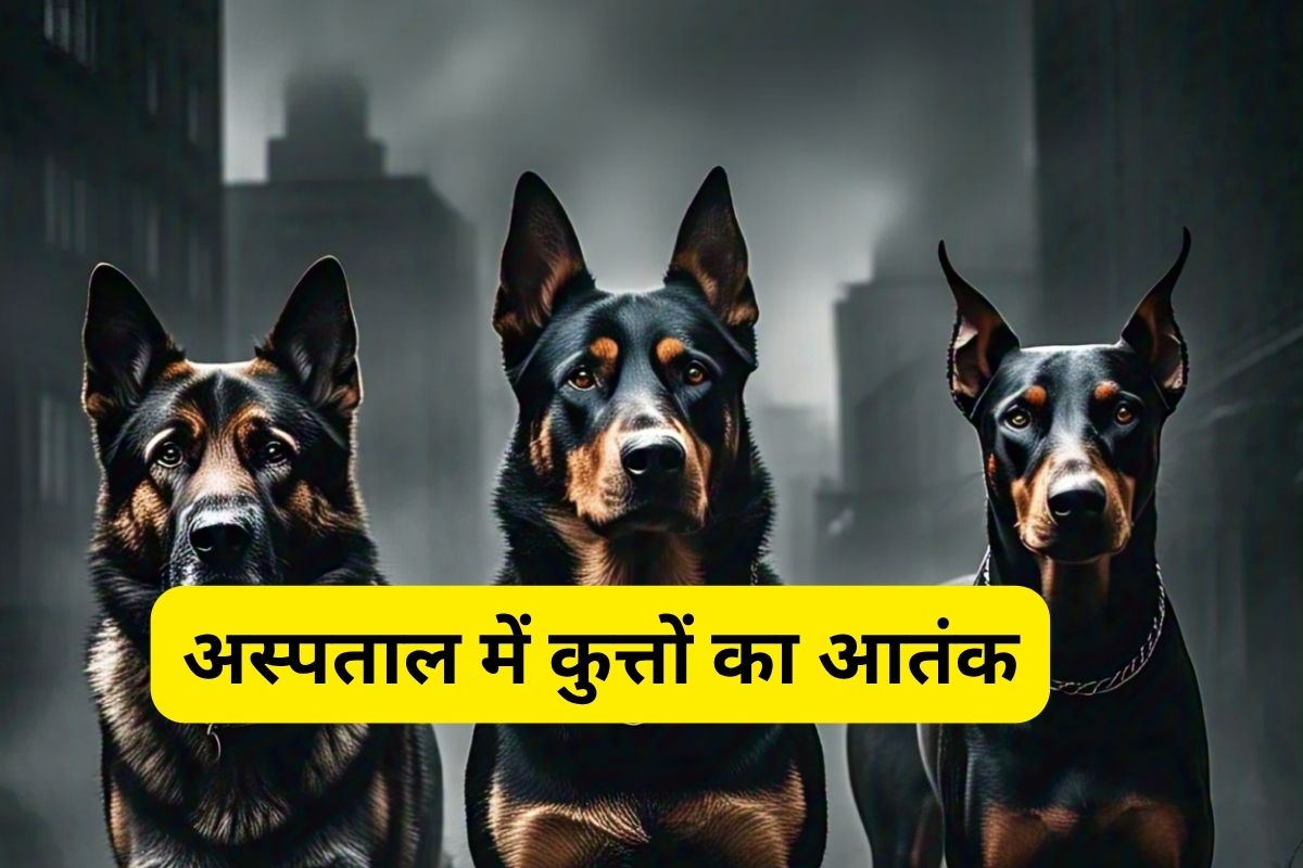 indore danger dogs news