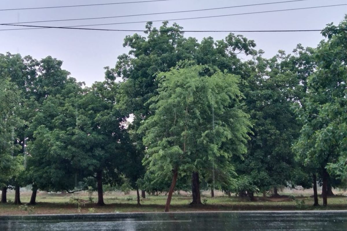 Heavy Rain Alert