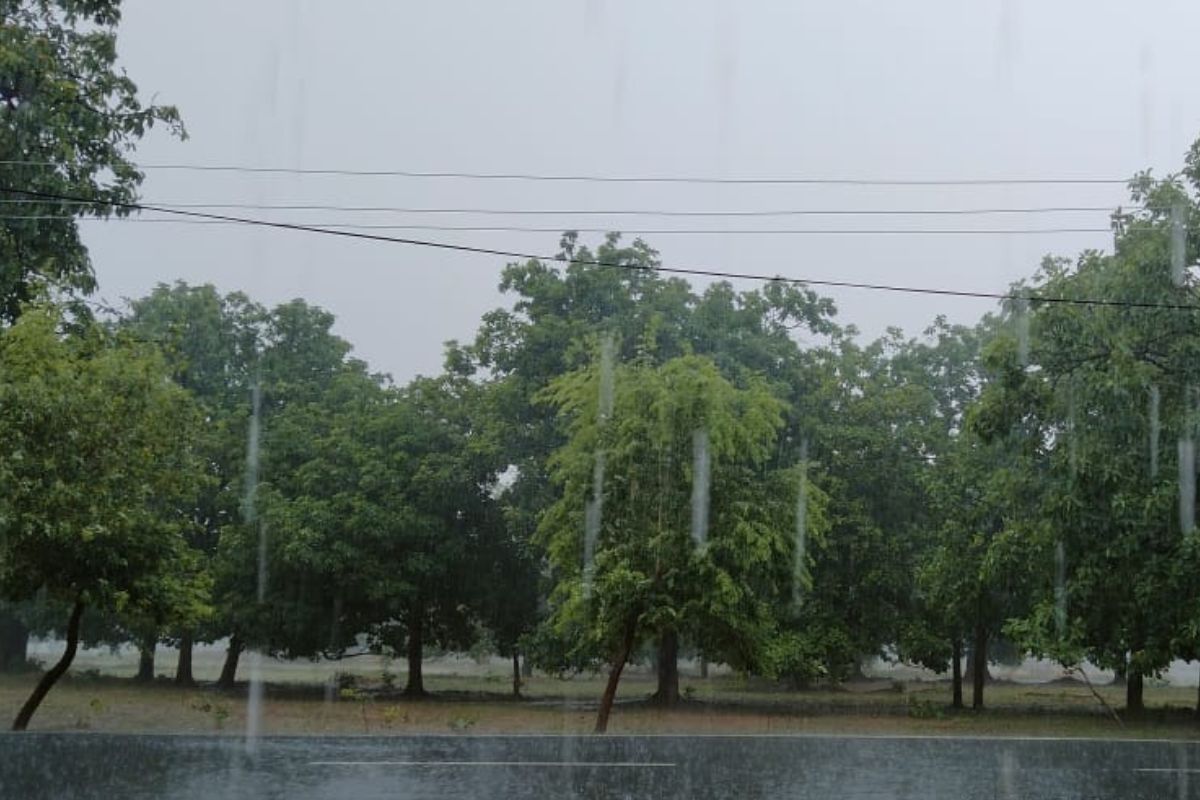 jharkhand rain