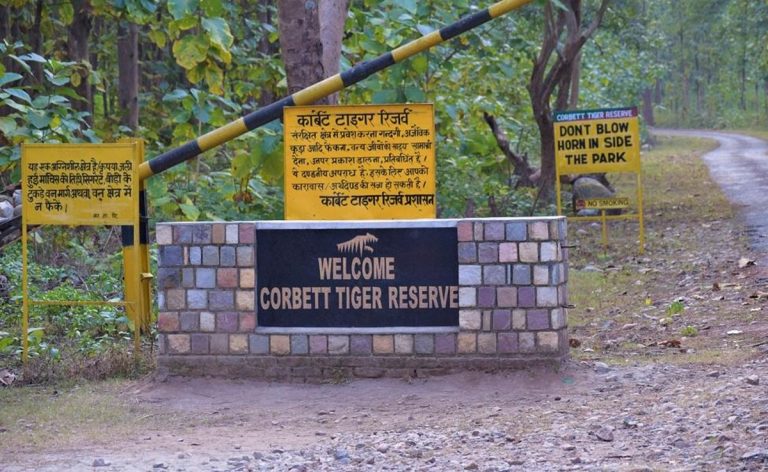 Oldest National Park in India : भारत के सबसे पुराने नेशनल पार्क, जहां एक बार सफारी तो बनती है