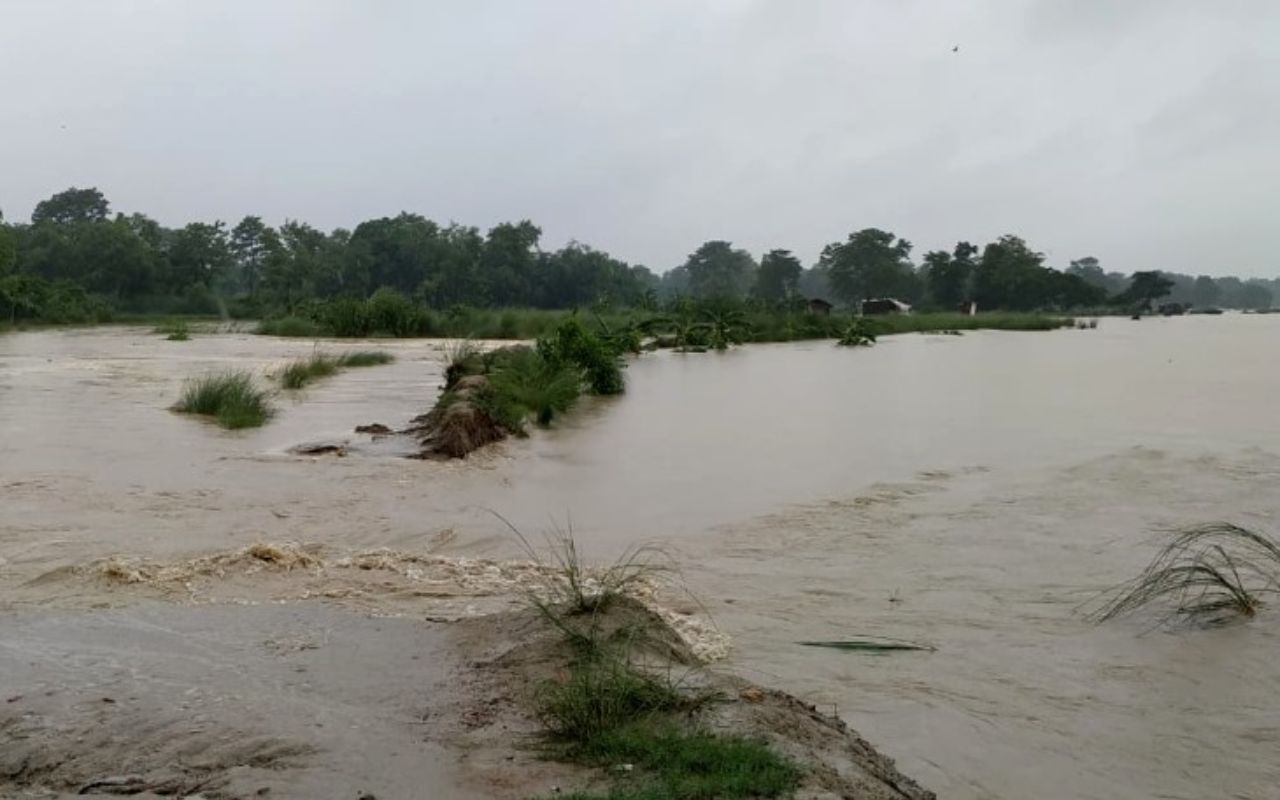 Flood in bihar