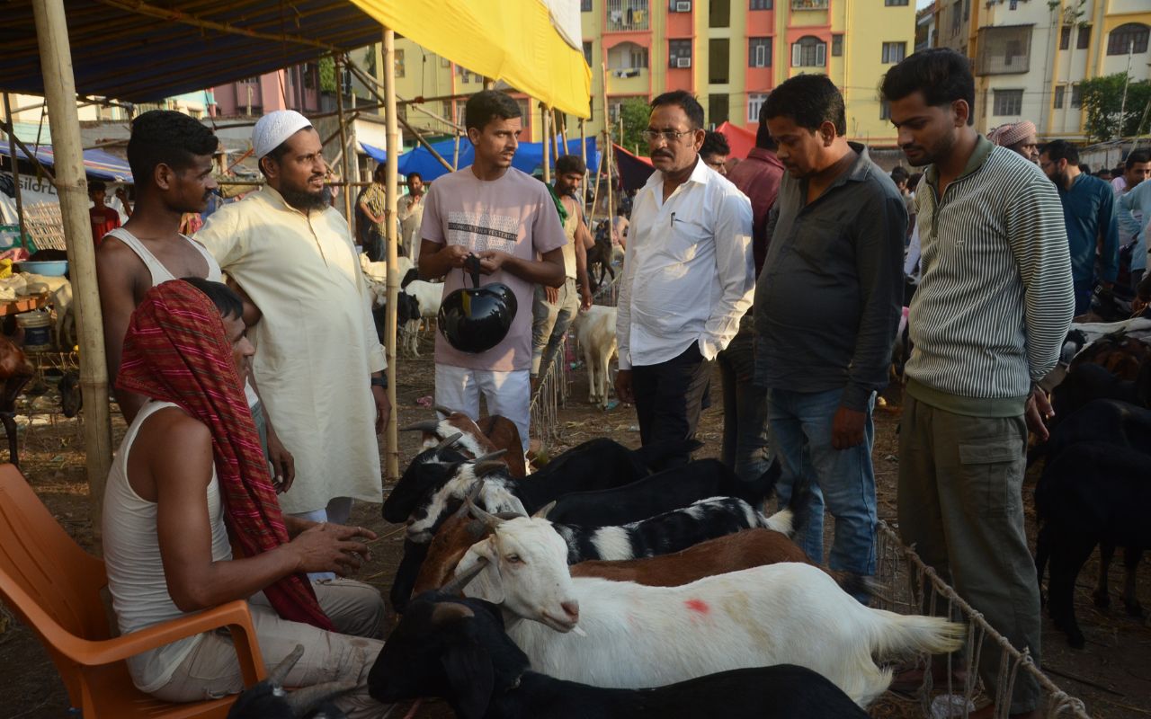 बाजार में बकरी की खरीदारी करते हुए