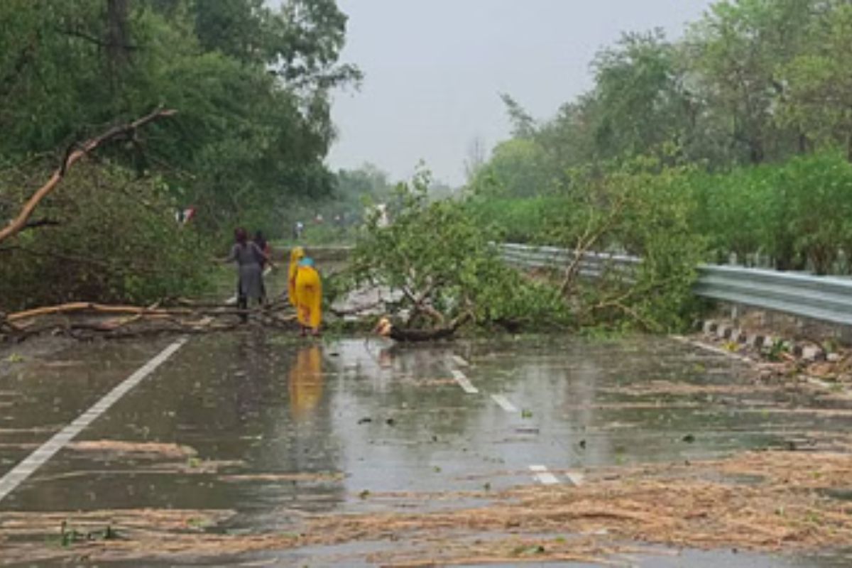 Weather सांकेतिक तस्वीर