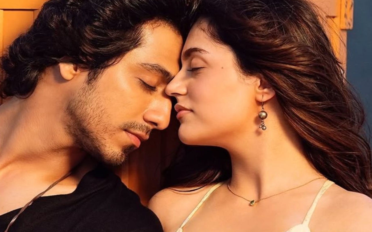 Saiyaara Box Office