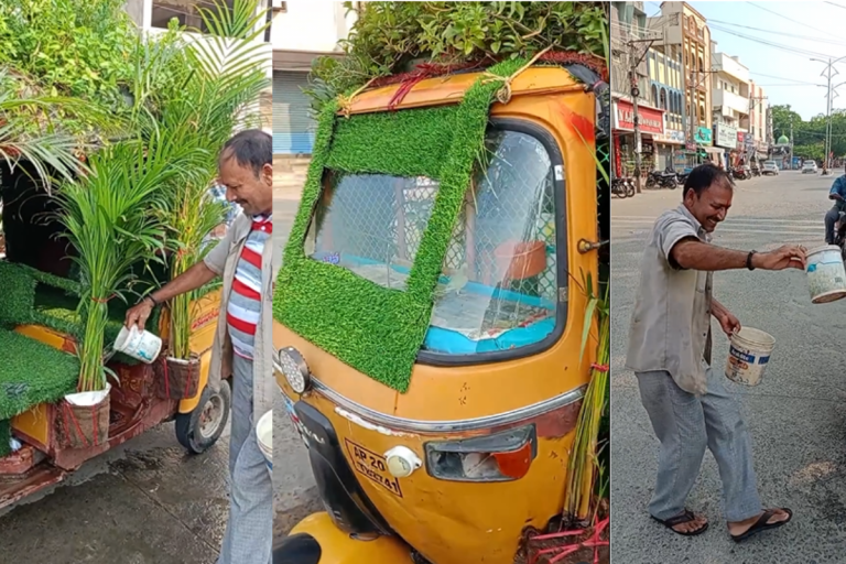 Viral Video: ऑटो बना चलता फिरता गार्डन, घास की सीट पर बैठेंगे पैसेंजर