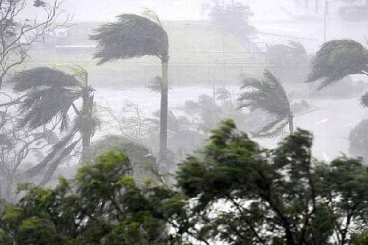 bihar weather news