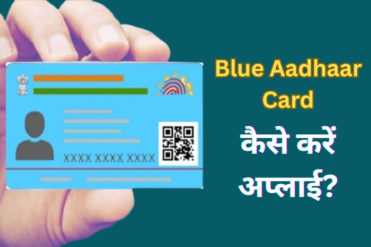 Blue Aadhaar Card Online Apply
