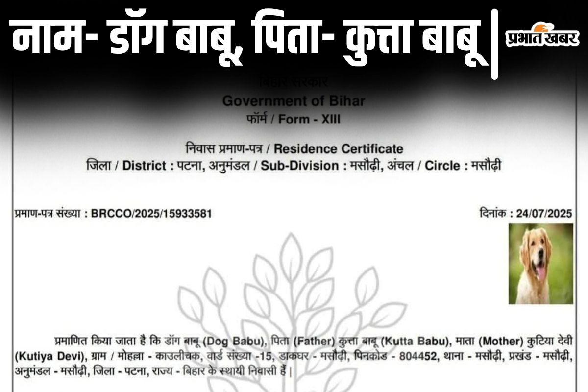 residential certificate bihar