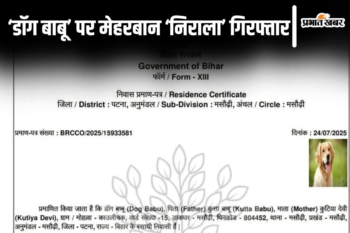 domicile certificate bihar