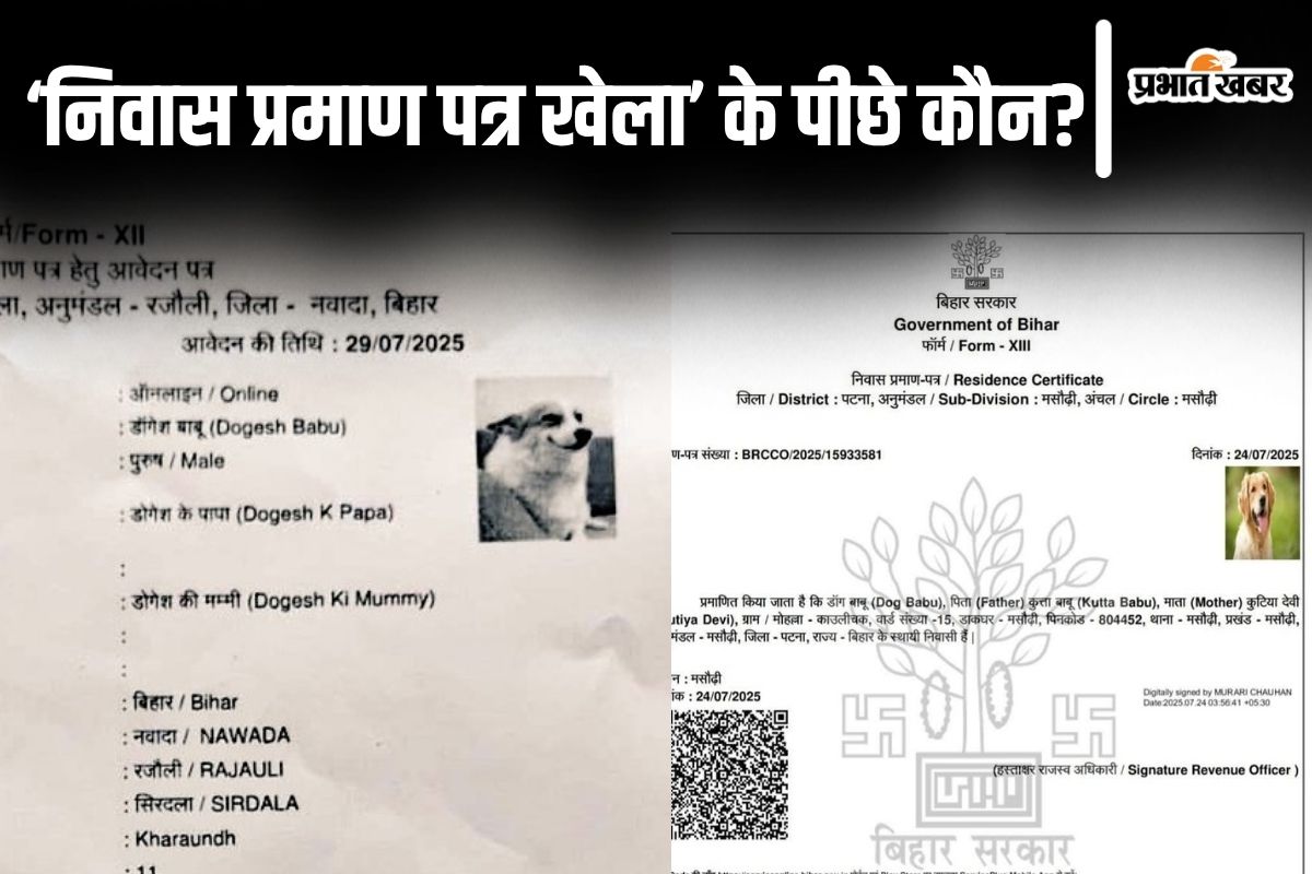 bihar domicile certificate