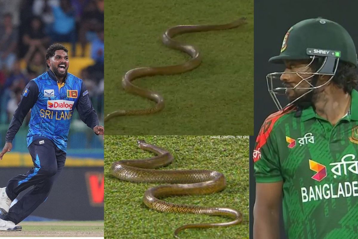Snake Entered in SL vs BAN 1st ODI.