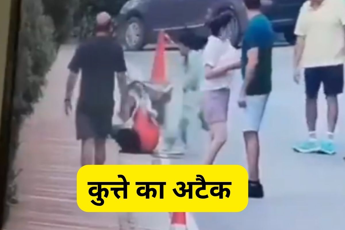 Dog Attack Video Gurugram