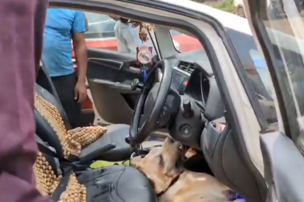 Dog Dies Suffocation in Car