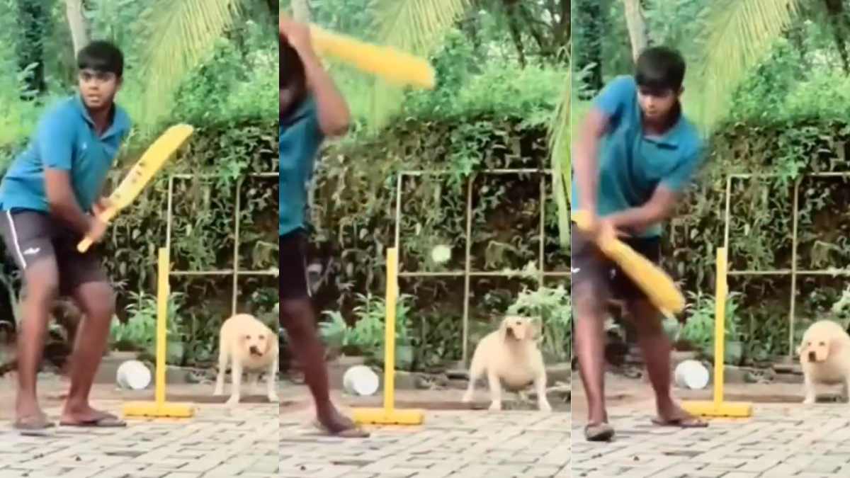 Viral Video of a Dog Playing Cricket