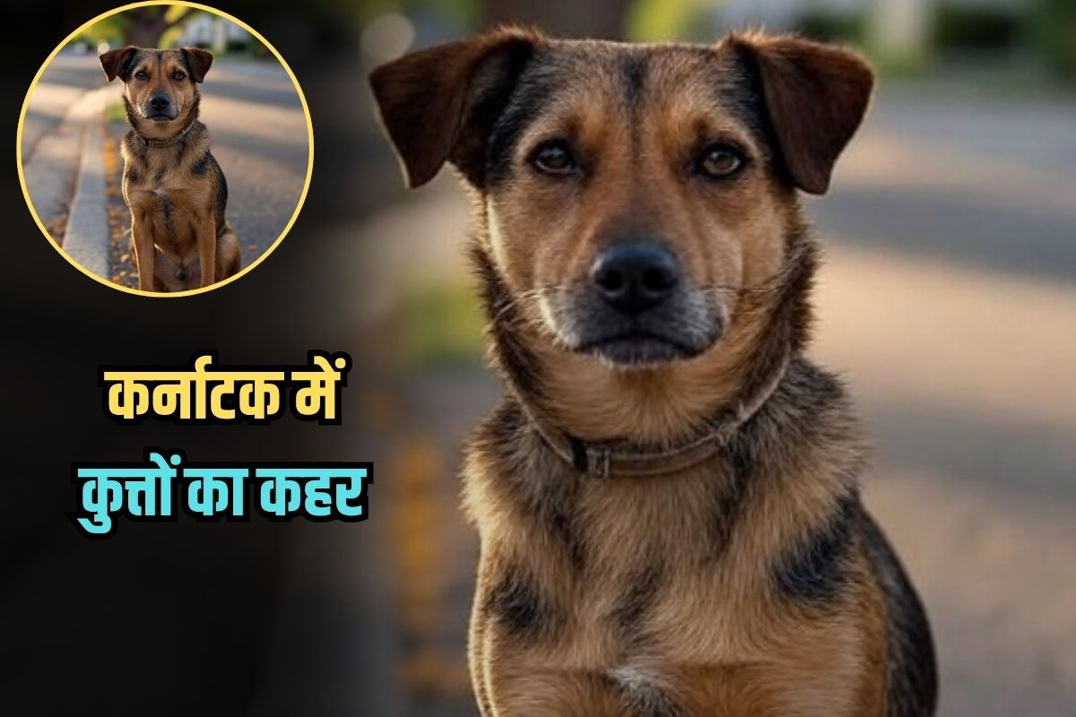 Dogs wreak havoc