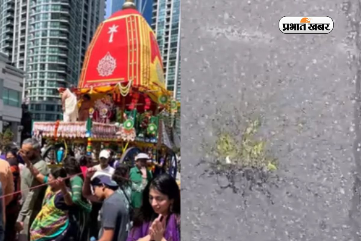 Egg attack during Rath Yatra in Toronto