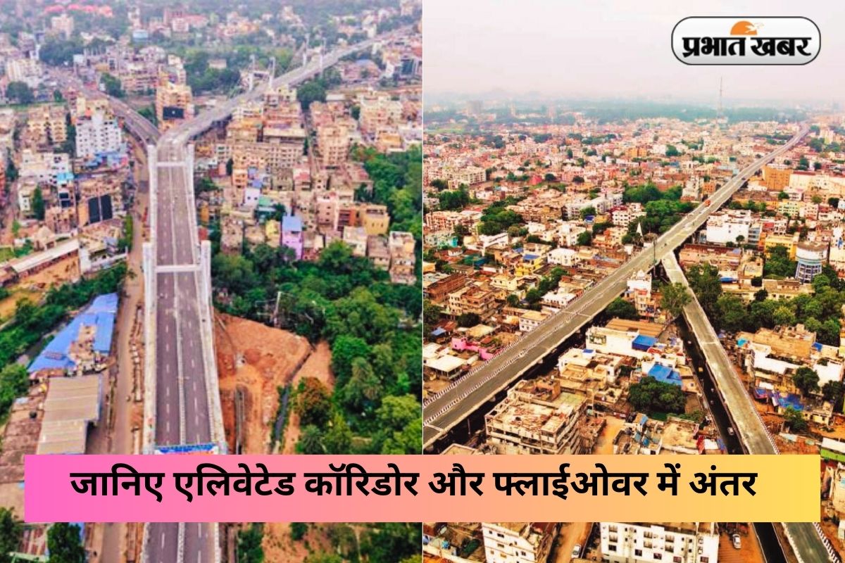 Elevated Corridor VS Flyover