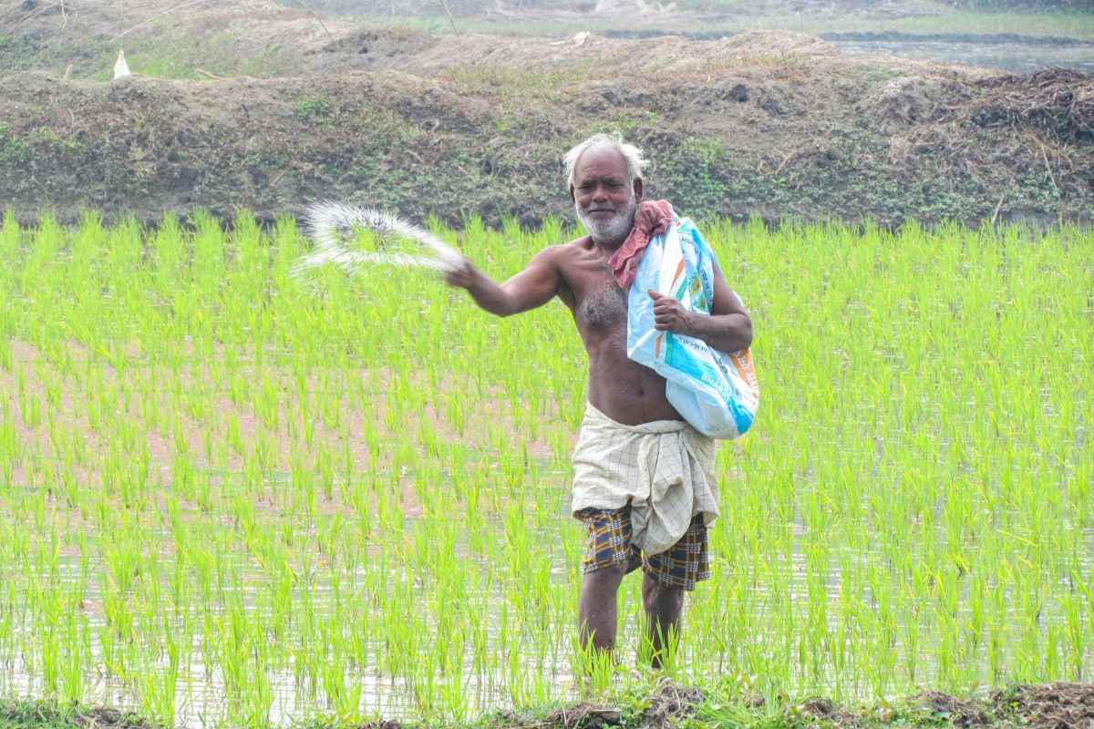 Farmer