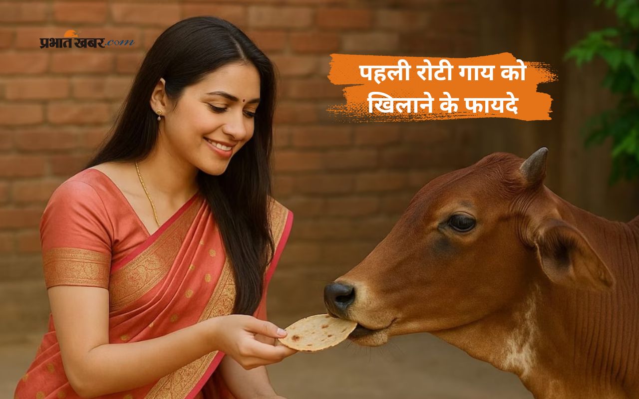 Feeding First Roti To Cow Benefits in Hindi