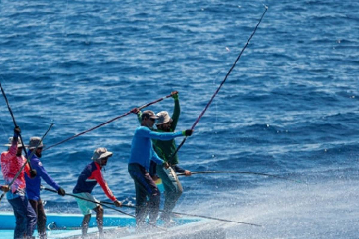 Fish Export Maldives
