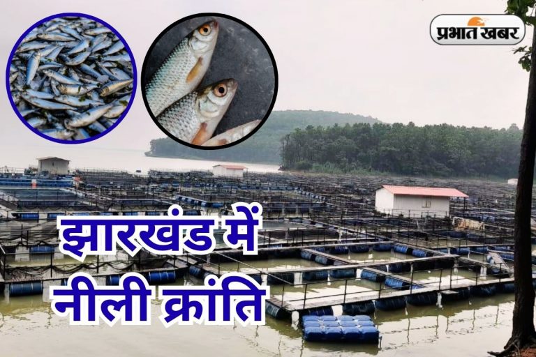 PHOTOS: मत्स्य के क्षेत्र में आत्मनिर्भर बनेगा झारखंड, 4.10 लाख मीट्रिक टन मछली उत्पादन का लक्ष्य
