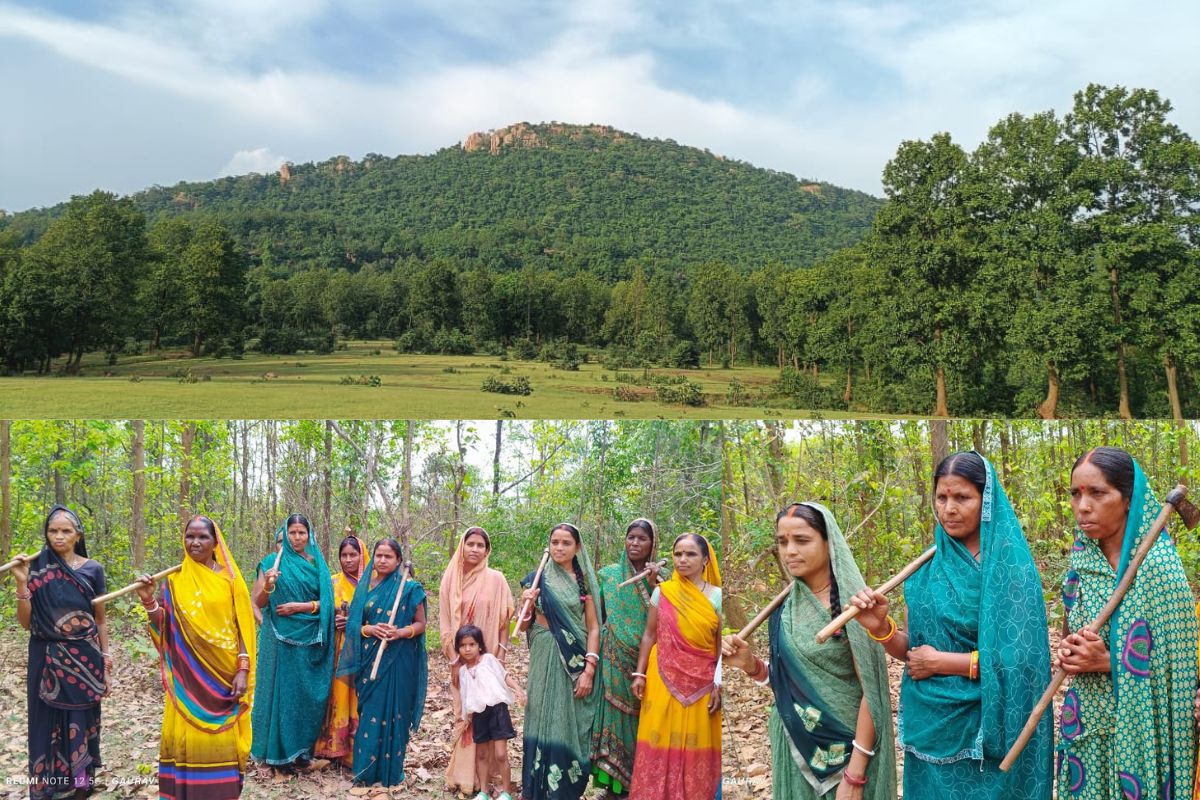 Forest Watchdog Women