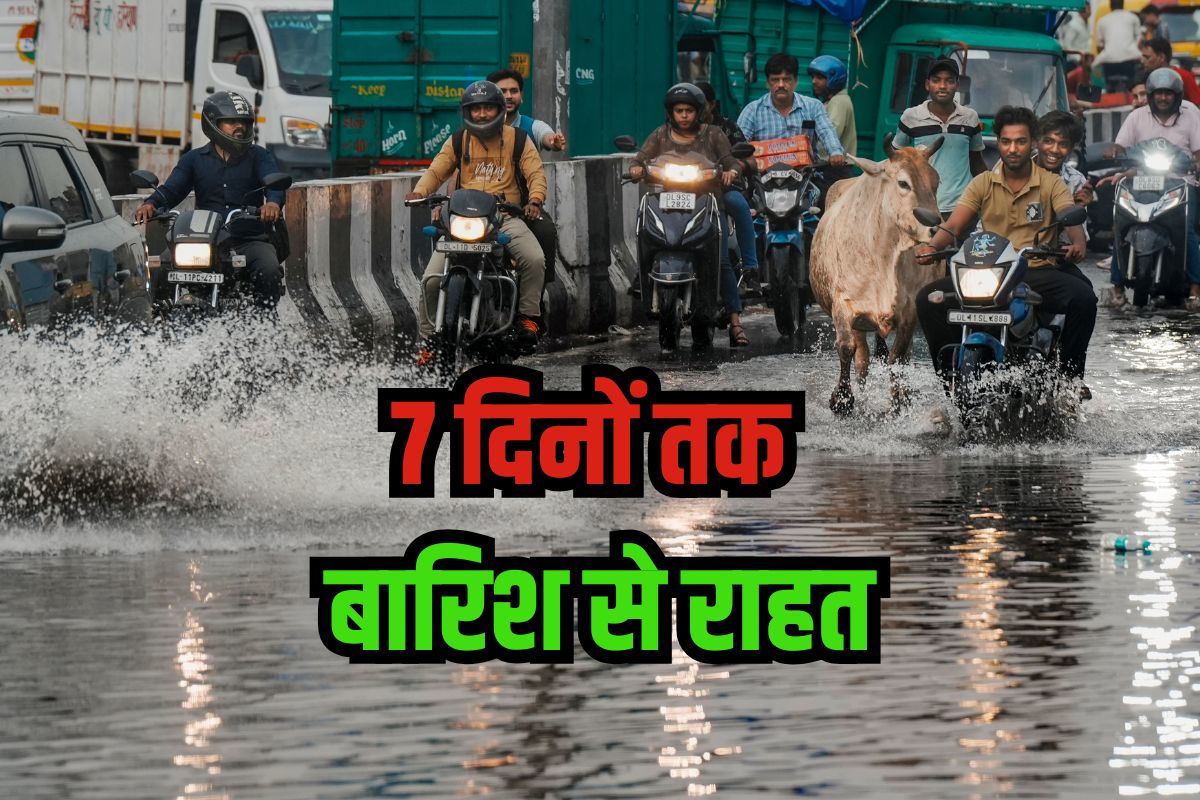 Heavy Rain Alert