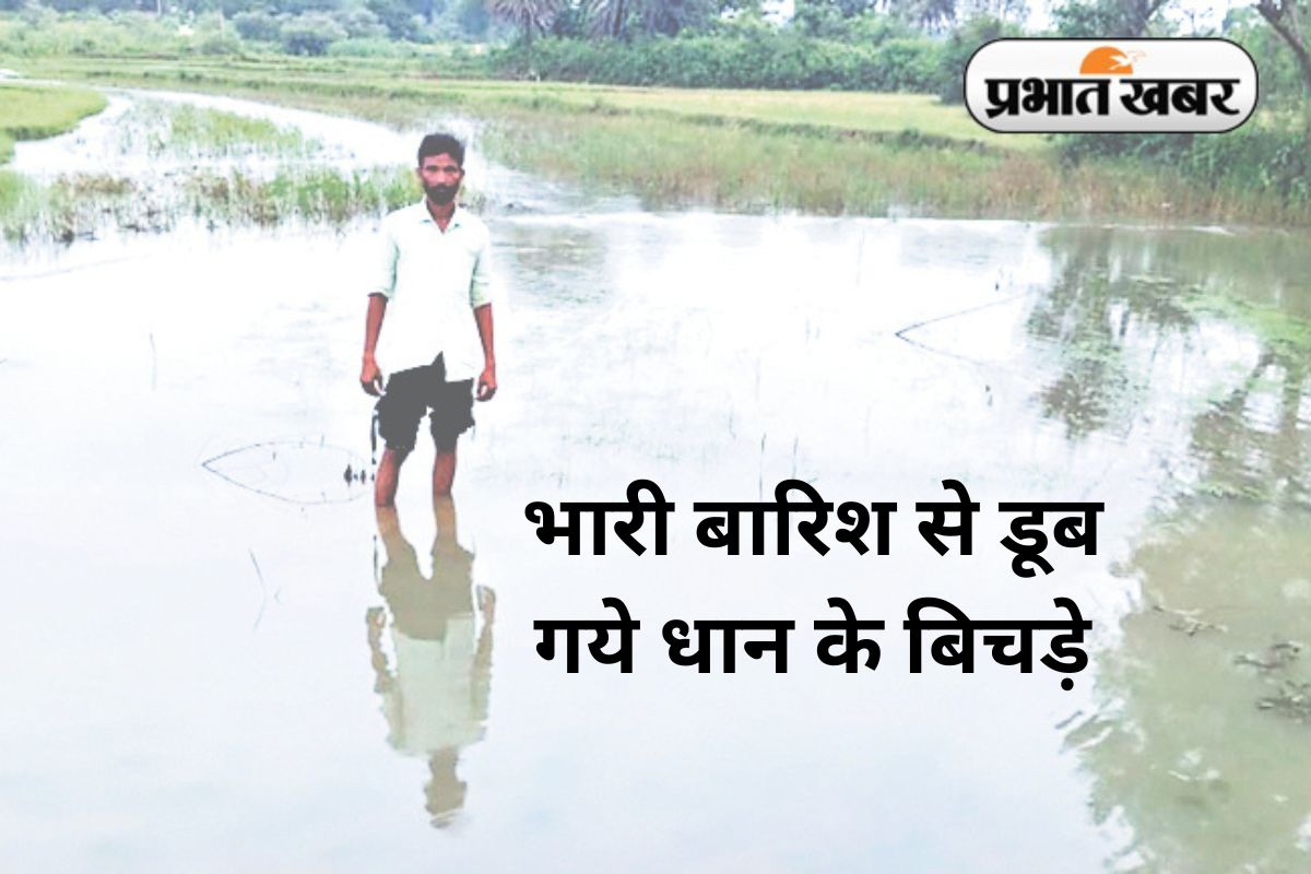 Heavy Rain in East Singhbhum jharkhand