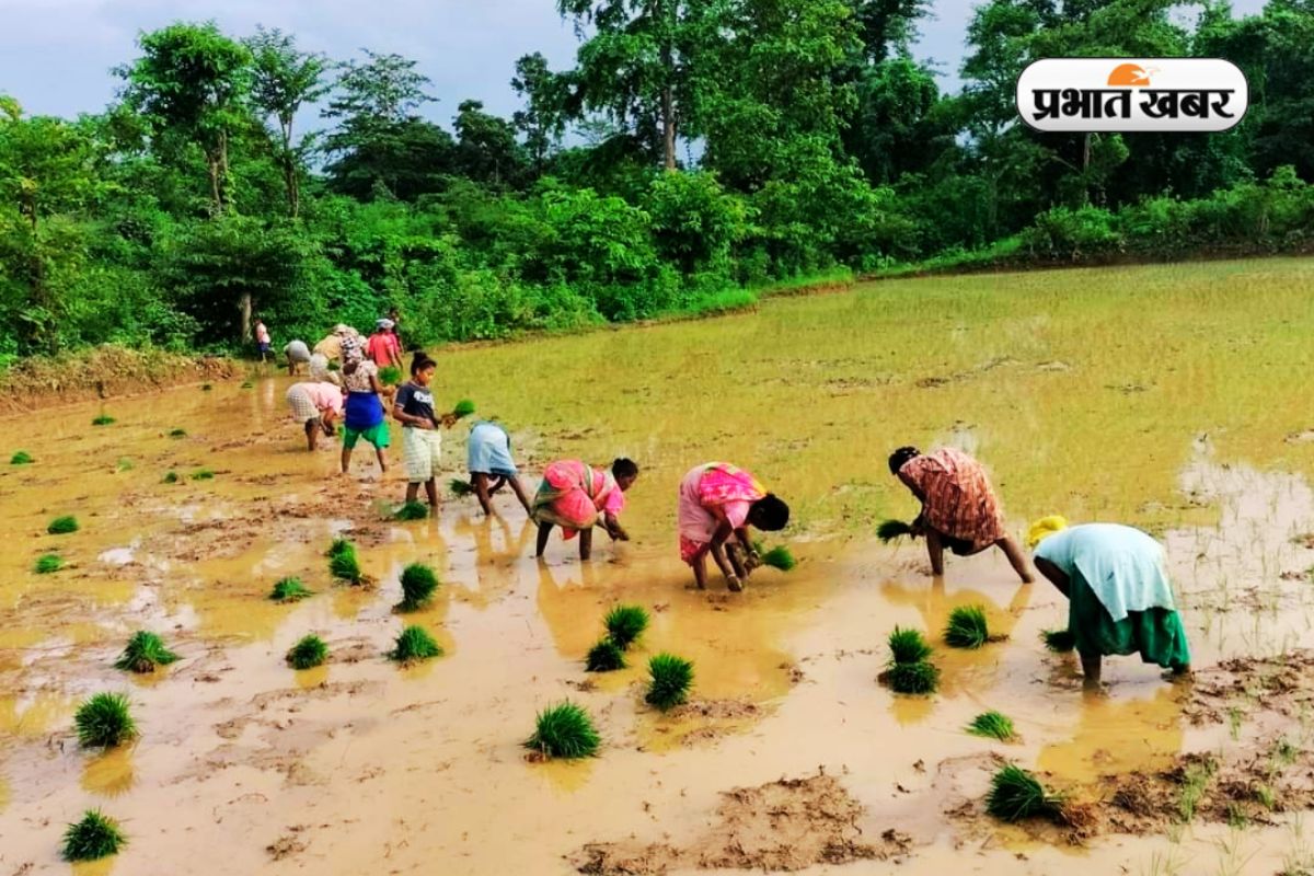 Jharkhand Weather heavy rain monsoon