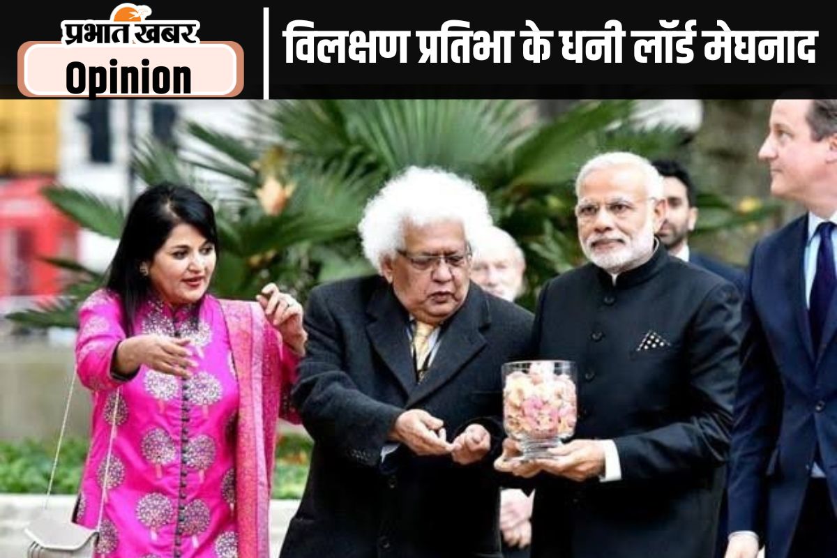 Lord Meghnad Desai