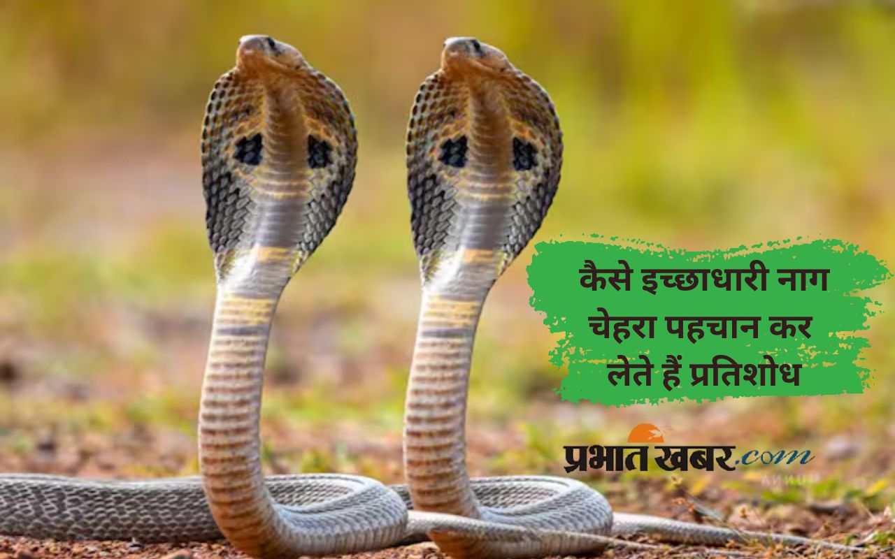 Nag Panchami ichchcadhari snake story in Hindi
