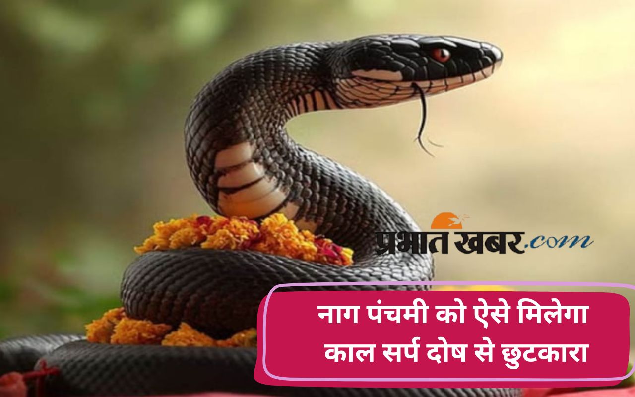 Nag Panchmi 2025 Kaal Saro Dosh mukti upay