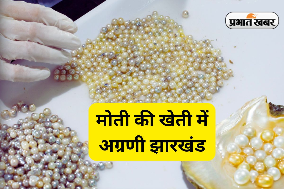 Pearl Farming in Jharkhand: