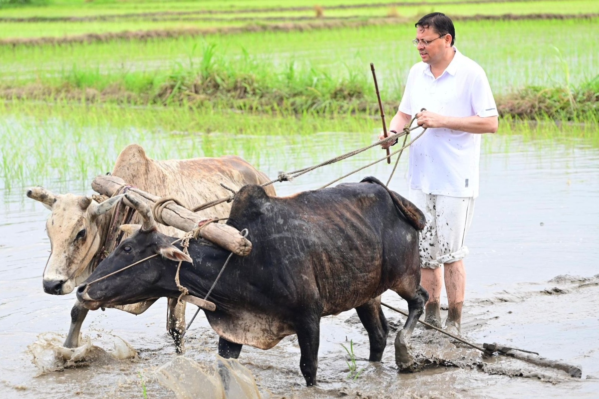 Pushkar Singh Dhami Video