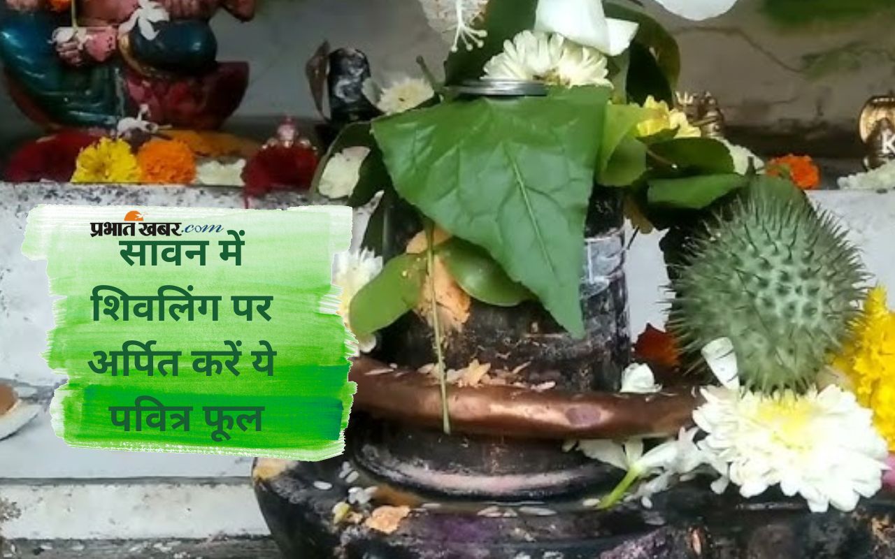 Sawan 2025 favorite flowers of Shiva