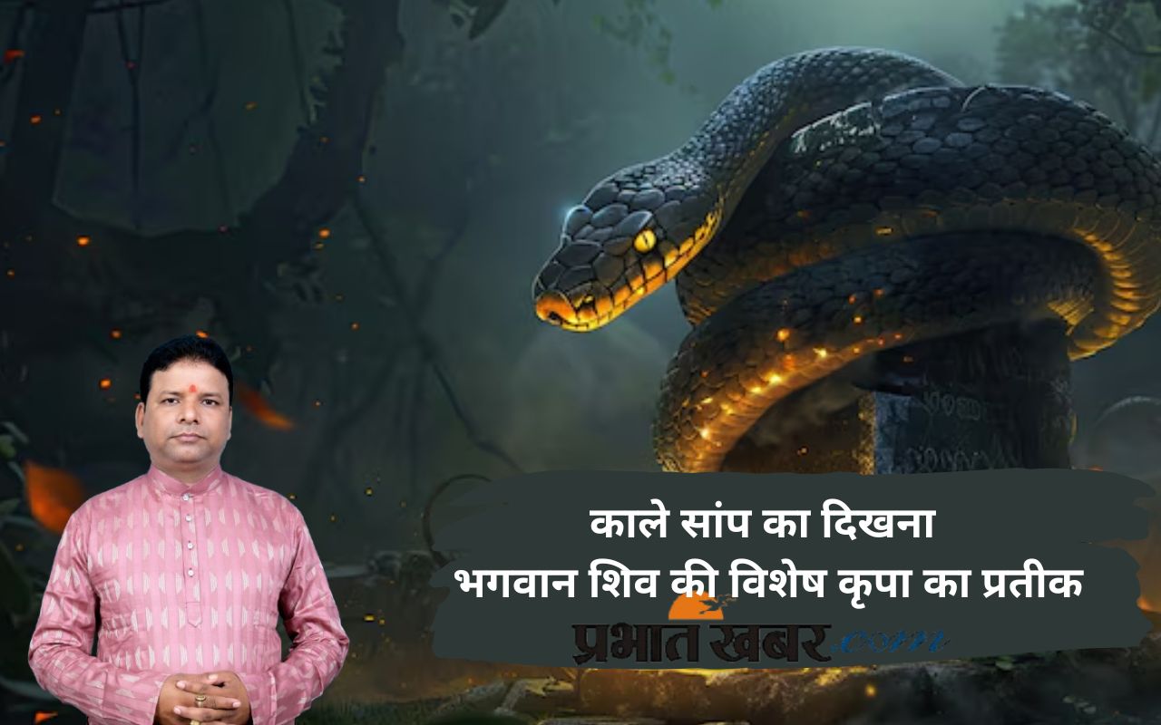 Sawan 2025 seeing snake in shravan maas