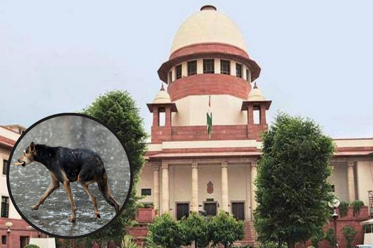 Supreme Court on Dog Bitting Case