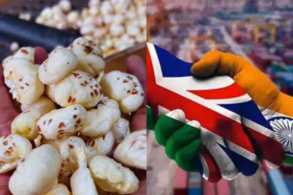 Bihar News Makhana business gets new identity know India-UK Free Trade Agreement